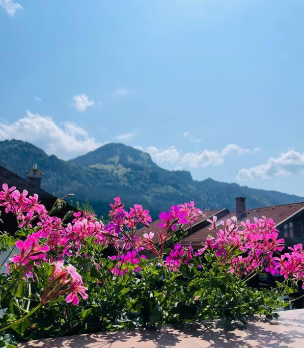 Berge, Wandern, Erholung Pur! Fewo Tinka-Haus Katja บาดฮินเดลัง ภายนอก รูปภาพ